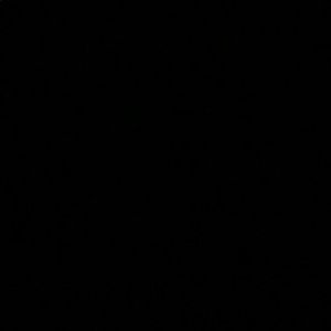 Meet your Posher, Joy